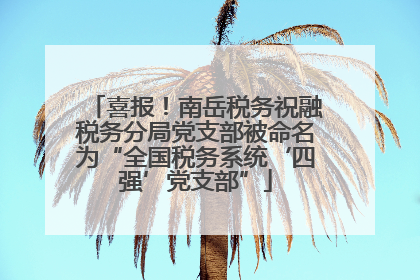 喜报！南岳税务祝融税务分局党支部被命名为“全国税务系统‘四强’党支部”