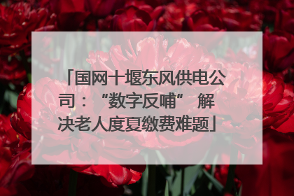 国网十堰东风供电公司：“数字反哺” 解决老人度夏缴费难题