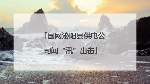 国网泌阳县供电公司闻“汛”出击