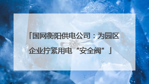 国网衡阳供电公司：为园区企业拧紧用电“安全阀”