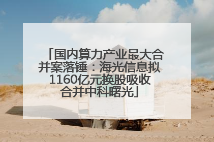 国内算力产业最大合并案落锤：海光信息拟1160亿元换股吸收合并中科曙光