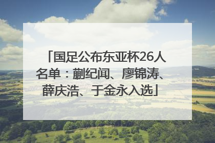 国足公布东亚杯26人名单：蒯纪闻、廖锦涛、薛庆浩、于金永入选