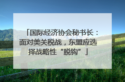 国际经济协会秘书长：面对美关税战，东盟应选择战略性“脱钩”