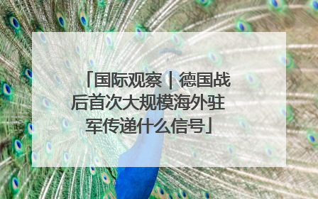国际观察｜德国战后首次大规模海外驻军传递什么信号