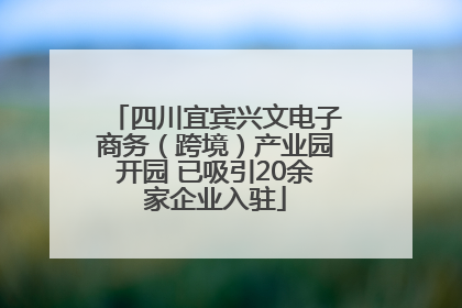 四川宜宾兴文电子商务（跨境）产业园开园 已吸引20余家企业入驻