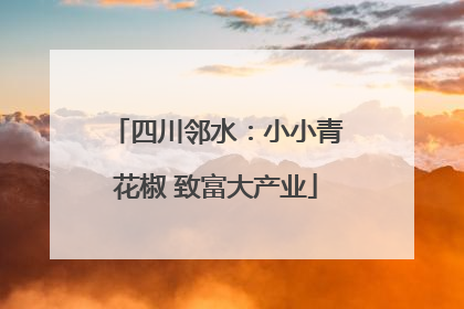 四川邻水：小小青花椒 致富大产业