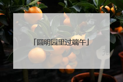 圆明园里过端午