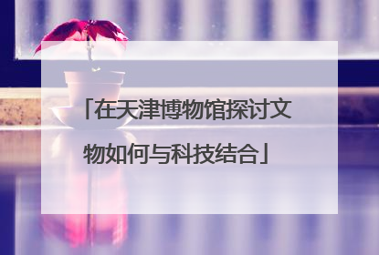 在天津博物馆探讨文物如何与科技结合