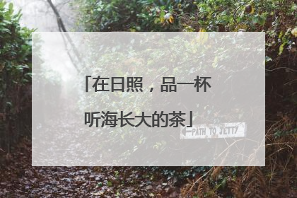 在日照，品一杯听海长大的茶
