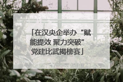 在汉央企举办“赋能提效 聚力突破”党建比武揭榜赛