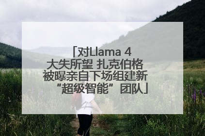 对Llama 4大失所望 扎克伯格被曝亲自下场组建新“超级智能”团队