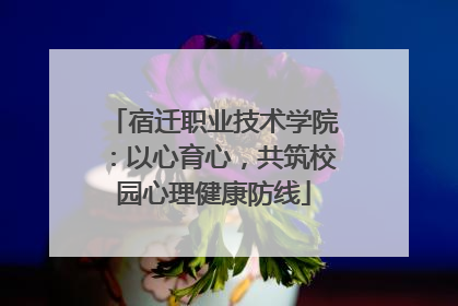 宿迁职业技术学院：以心育心，共筑校园心理健康防线