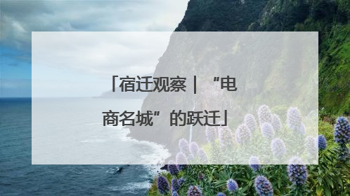 宿迁观察｜“电商名城”的跃迁