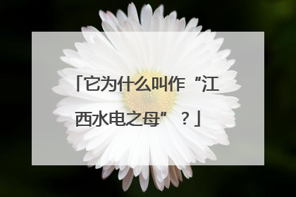 它为什么叫作“江西水电之母”？