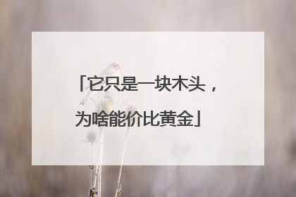 它只是一块木头，为啥能价比黄金
