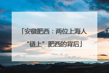 安徽肥西：两位上海人“链上”肥西的背后