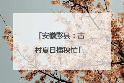 安徽黟县：古村夏日插秧忙