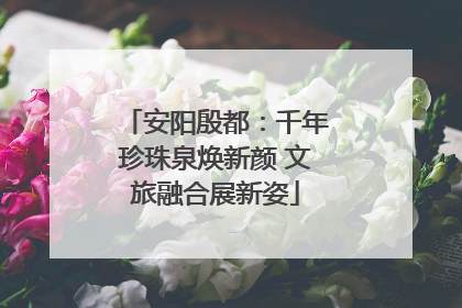 安阳殷都：千年珍珠泉焕新颜 文旅融合展新姿