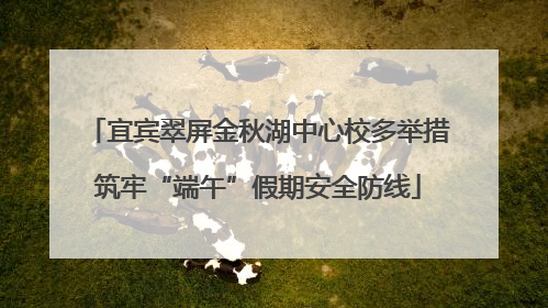 宜宾翠屏金秋湖中心校多举措筑牢“端午”假期安全防线