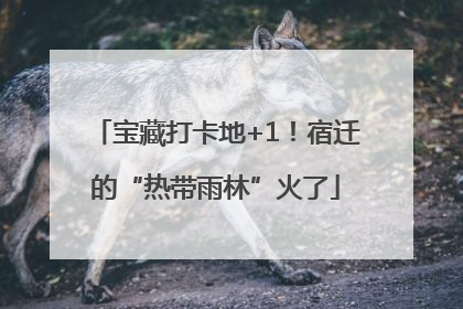 宝藏打卡地+1！宿迁的“热带雨林”火了