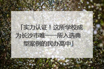 实力认证！这所学校成为长沙市唯一一所入选典型案例的民办高中