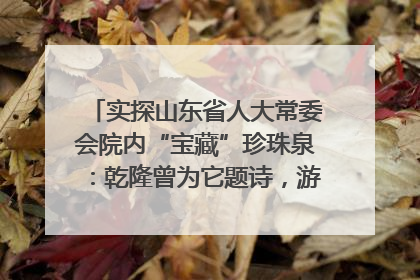 实探山东省人大常委会院内“宝藏”珍珠泉：乾隆曾为它题诗，游客无需预约免费游览
