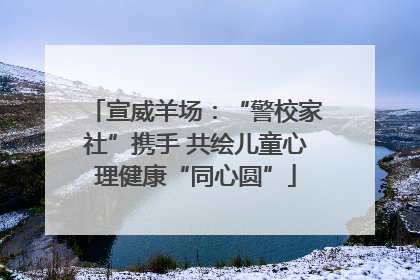 宣威羊场：“警校家社”携手 共绘儿童心理健康“同心圆”