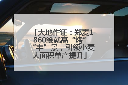 大地作证：郑麦1860绘就高“烤”“丰”景，引领小麦大面积单产提升