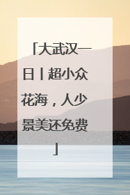 大武汉一日丨超小众花海，人少景美还免费