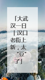 大武汉一日︱汉口老街上新，太“豆”了