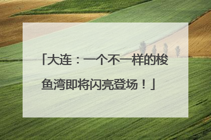 大连：一个不一样的梭鱼湾即将闪亮登场！