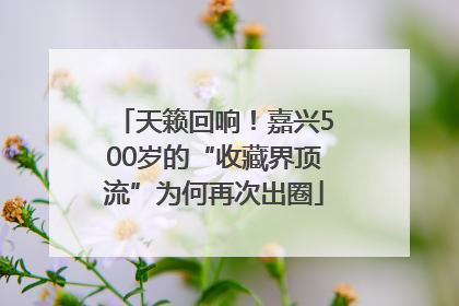 天籁回响！嘉兴500岁的“收藏界顶流”为何再次出圈
