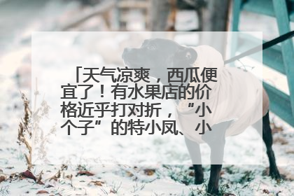 天气凉爽，西瓜便宜了！有水果店的价格近乎打对折，“小个子”的特小凤、小糖丸更好卖
