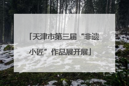 天津市第三届“非遗小匠”作品展开展