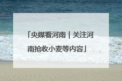 央媒看河南｜关注河南抢收小麦等内容