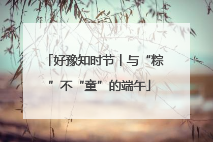 好豫知时节丨与“粽”不“童”的端午