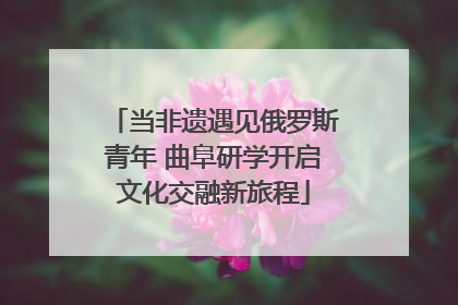 当非遗遇见俄罗斯青年 曲阜研学开启文化交融新旅程