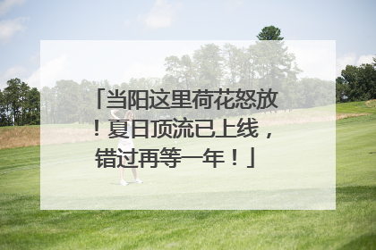 当阳这里荷花怒放！夏日顶流已上线，错过再等一年！