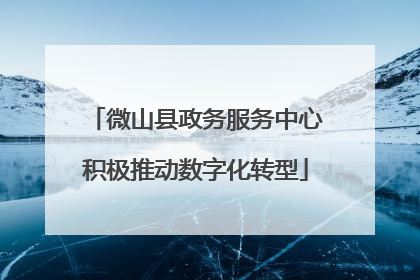 微山县政务服务中心积极推动数字化转型