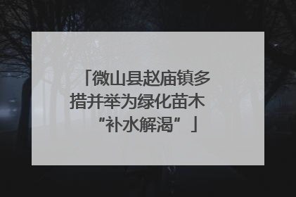 微山县赵庙镇多措并举为绿化苗木“补水解渴”