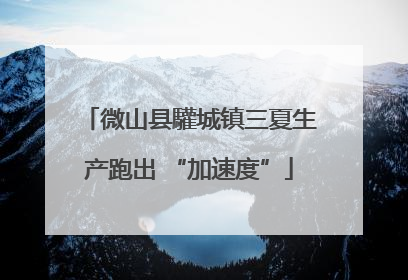 微山县驩城镇三夏生产跑出 “加速度”