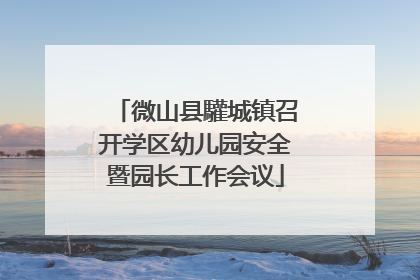 微山县驩城镇召开学区幼儿园安全暨园长工作会议