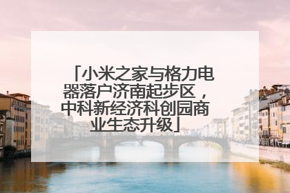 小米之家与格力电器落户济南起步区，中科新经济科创园商业生态升级