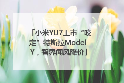 小米YU7上市“咬定”特斯拉Model Y，智界闻风降价