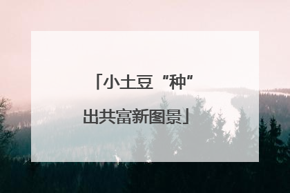 小土豆“种”出共富新图景