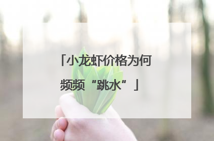 小龙虾价格为何频频“跳水”