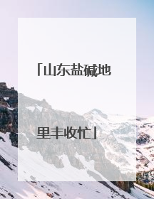 山东盐碱地里丰收忙