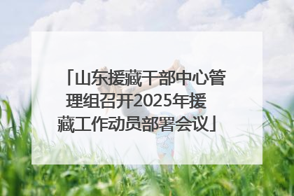 山东援藏干部中心管理组召开2025年援藏工作动员部署会议
