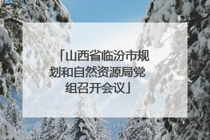 山西省临汾市规划和自然资源局党组召开会议
