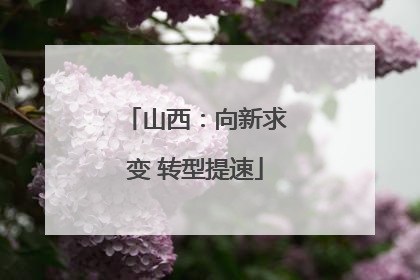 山西：向新求变 转型提速
